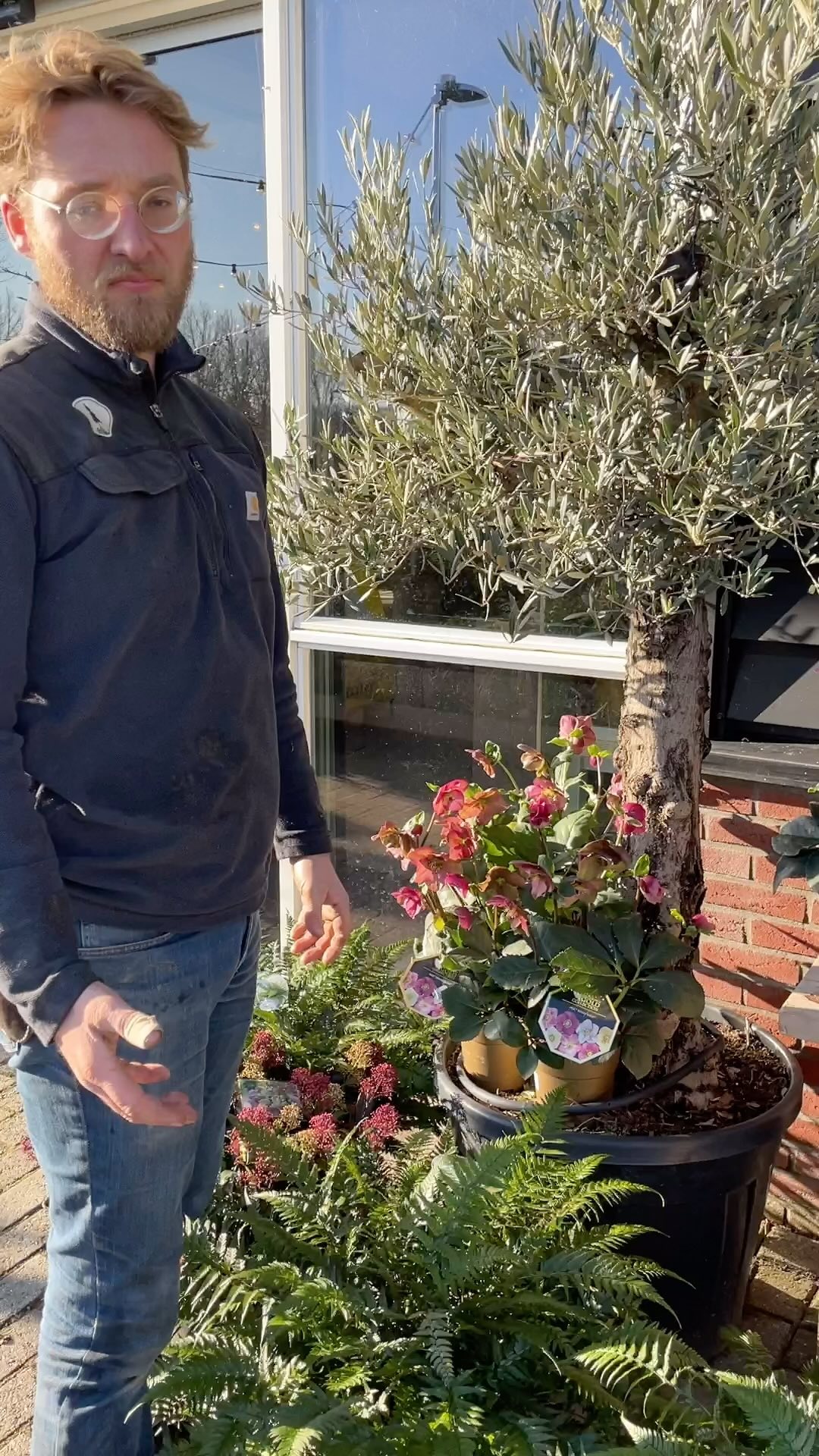 Ho ho ho, let’s go! 🛷🌲 STERK neemt je mee door de wereld van Wintergroen & Wonterschoon! 🎄🪴
@lorangeriebuitenverblijven
#kerstbomen #kerstbomenfan #kerstbomenverkoop #tuinadvies #tuinieren #tuinierenvoorbeginners #tuinierenvoorexperts #tuinexperts #tuincentrum #tuinadvies #tuinontwerp #tuinstudio #slimmetuinn #logischetuin #bodem #tuininspiratie #winterinspiratie #wintergroen #kerst #kerstboom #tutorial #tuintips #tuileven #buitenleven #buitenleveninspiratie #detuinin #duurzaamtuinieren #mooigorinchem #winterindevesting #gorinchem #arkel