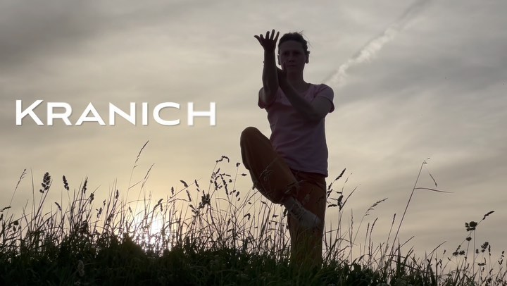 Qi Gong hilft dir zu entspannen und einen guten Kontakt zu deinem Körper aufzubauen.
Das Wudang Qi Gong ist dabei ein besonders schönes. Fließend und weich in seinen Bewegungen. Vor allem das Qi Gong der 5 Tiere.
Lerne Qi Gong!
Neue Kurse in Dortmund.
Trag‘ dich auf die Warteliste ein!
www.daoflow.de
.
.
.
#qigong #taichiqigong #qigongdeutschland #qigongfiveanimals #qigongfiveelements #healthylifestyle #entspannung #auszeitvomalltag #positivevibes #imeinklangmitmir #achtsamkeit #lebensfreude #qigongwudang #taichichuan #taichiwudang #qigongkurs