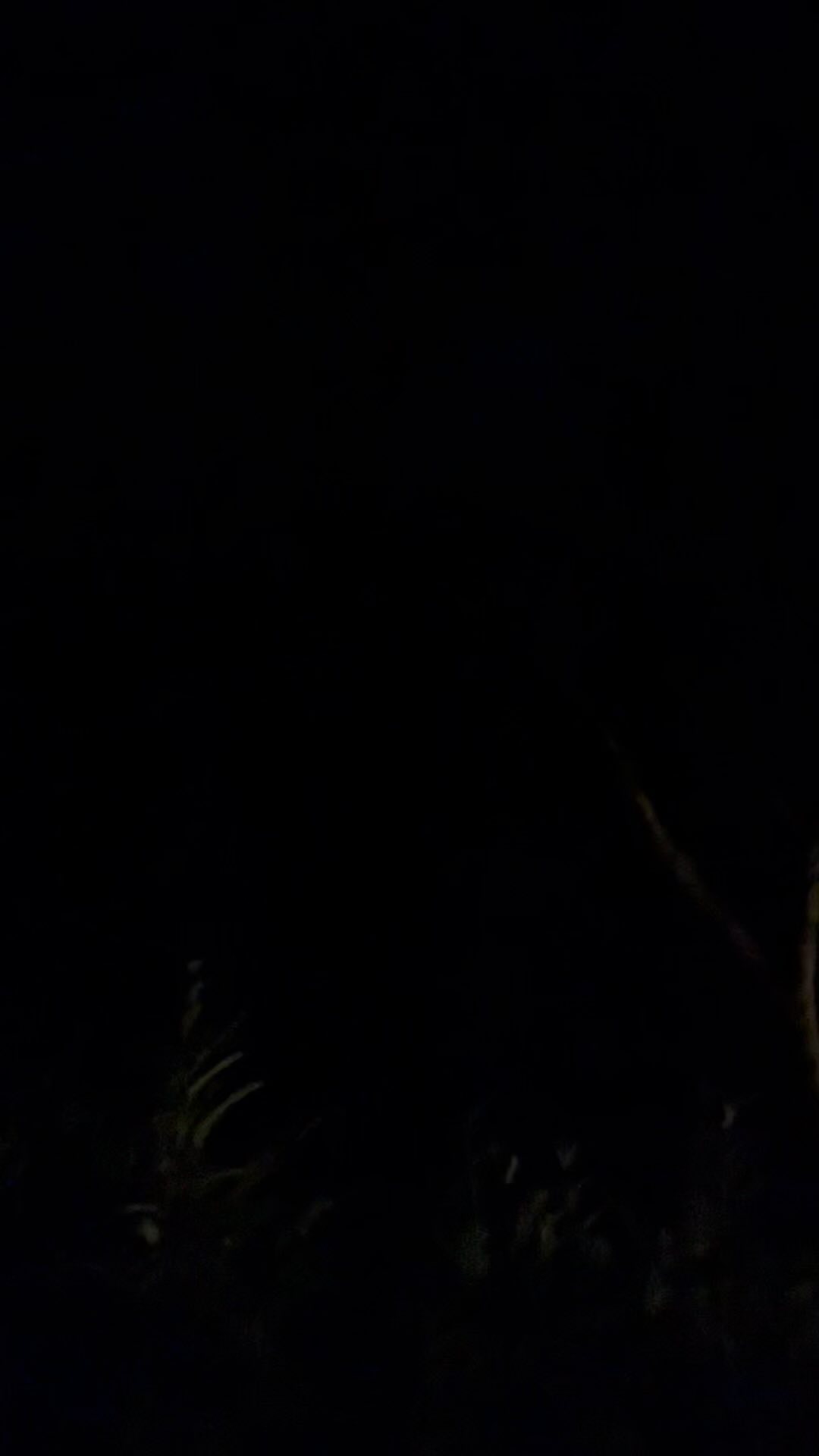 not much to see perhaps
but oh so much magic to hear
so grateful to these bird folk
regular ‘gather’ attendees now it seems
all voices weaving together
human, non-human
a sweet symphony indeed
fancy joining us?
to take time to be with these ones
to pause & listen
to each other
to ourselves
in amongst all of the mayhem
slow down, rest & soften
in to the heart, support & sanctuary
of community
of @damsonhillcottage
next ‘gather’ with new moon in aquarius
sun 11th feb, 6.30 to 8pm
new 2024 prices now in place
with block booking discounts too
see link in bio for more deets
or drop me a message
be lush to hear from you
and even lusher to see you there 💚
#natureconnection #ecotherapy #ecopsychology #nature #cycles #connection #pause #slowdown #women #womenscircle #wellbeing #mentalhealth #hampshire