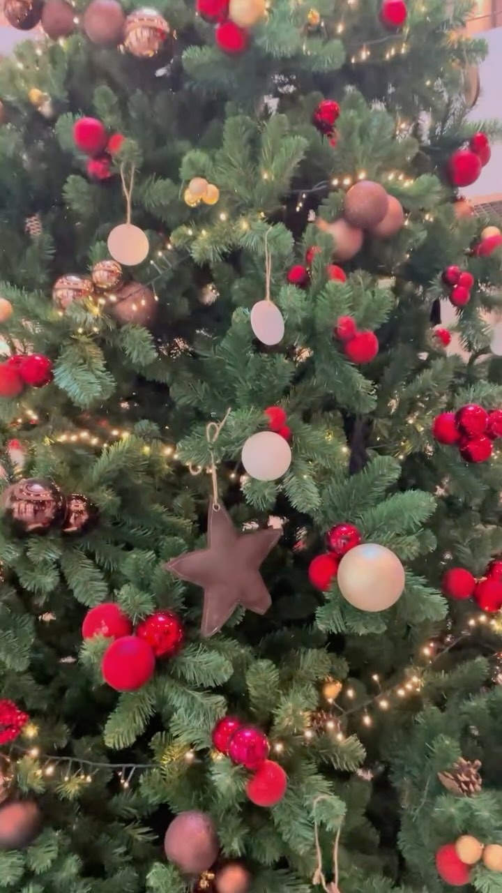 It’s tiiiiiiiiiime 🎶
Il est de retour 🎄