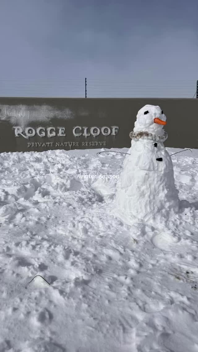 It doesn’t always snow at Rogge Cloof, but when it does, it’s pure magic.
The landscape transforms into something quiet and otherworldly. Crisp air, white-dusted plains, and that unmistakable stillness that only snow brings.
It’s rare, it’s beautiful, and it’s one of those moments you won’t forget.
Keep an eye on the forecast and tap the link in our bio to plan your snowy stay.
#luxuryecotravel #darkskyreserve #travelsouthafrica #karoo #karoolife #karooaccommodation #hikingadventures #hikingsouthafrica #cheetahconservation #cheetah #sustainabletravel #stargazing #astrophotography #sutherland #astronomylover #wideopenspaces #natureescape #nightphotography #nightsky #astronomy #thisissouthafrica