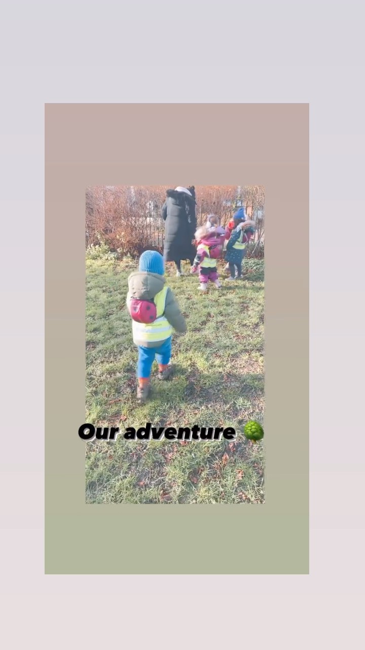 A Recap of our Recent Adventures 🌳🍃🪵