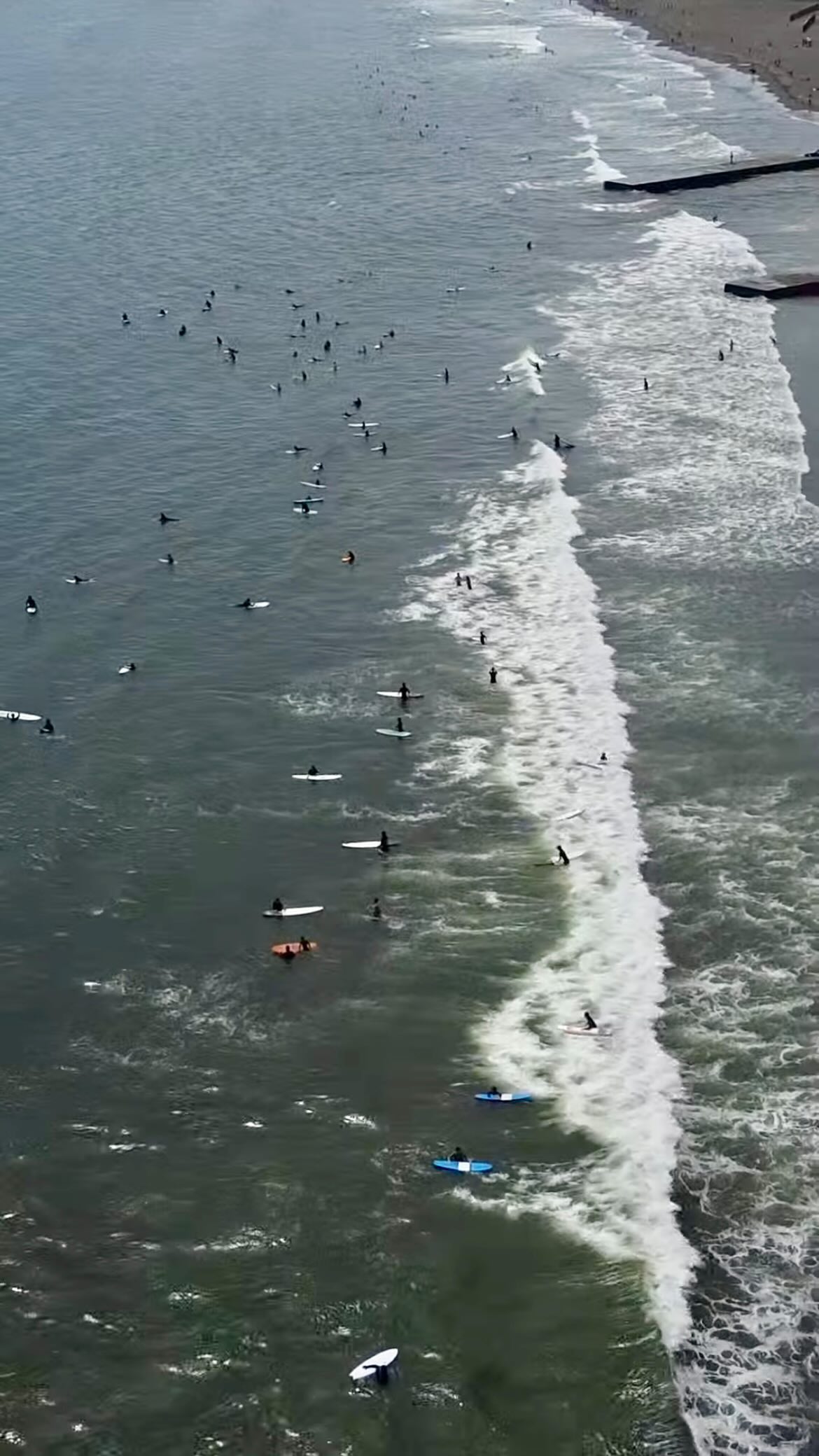 Best surf spots in Japan Ep.3: NEAREST SPOT FROM TOKYO: Kugenuma Kaigan 🇯🇵🏄♂️
👉Full video on youtube (link in bio)
#bestsurfspots #japan #japansurf #surfjapan #surfing #surf #japansurfing #shonansurf #kugenumakaigan #kugenumabeach #kugenumasurf