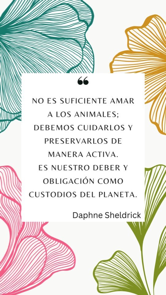 Nuestro deber y obligación en TODO momento
.
.
.
#animalesendesastres #iad #iadlatam #inclusionanimalendesastres #inclusionanimal #cuidadoanimal #ningunanimalsequedaatras #animal #animallovers #animals #amor #ayuda #proteccion #conservacion #educacion #desastres #desastresnaturales #latina #cambioclimatico #refugioanimal #santuarioanimal #pets #wildlife #petsofinstagram #plandemergencias #life #humanitarian #desarrollo #mascotasfelices #americalatina