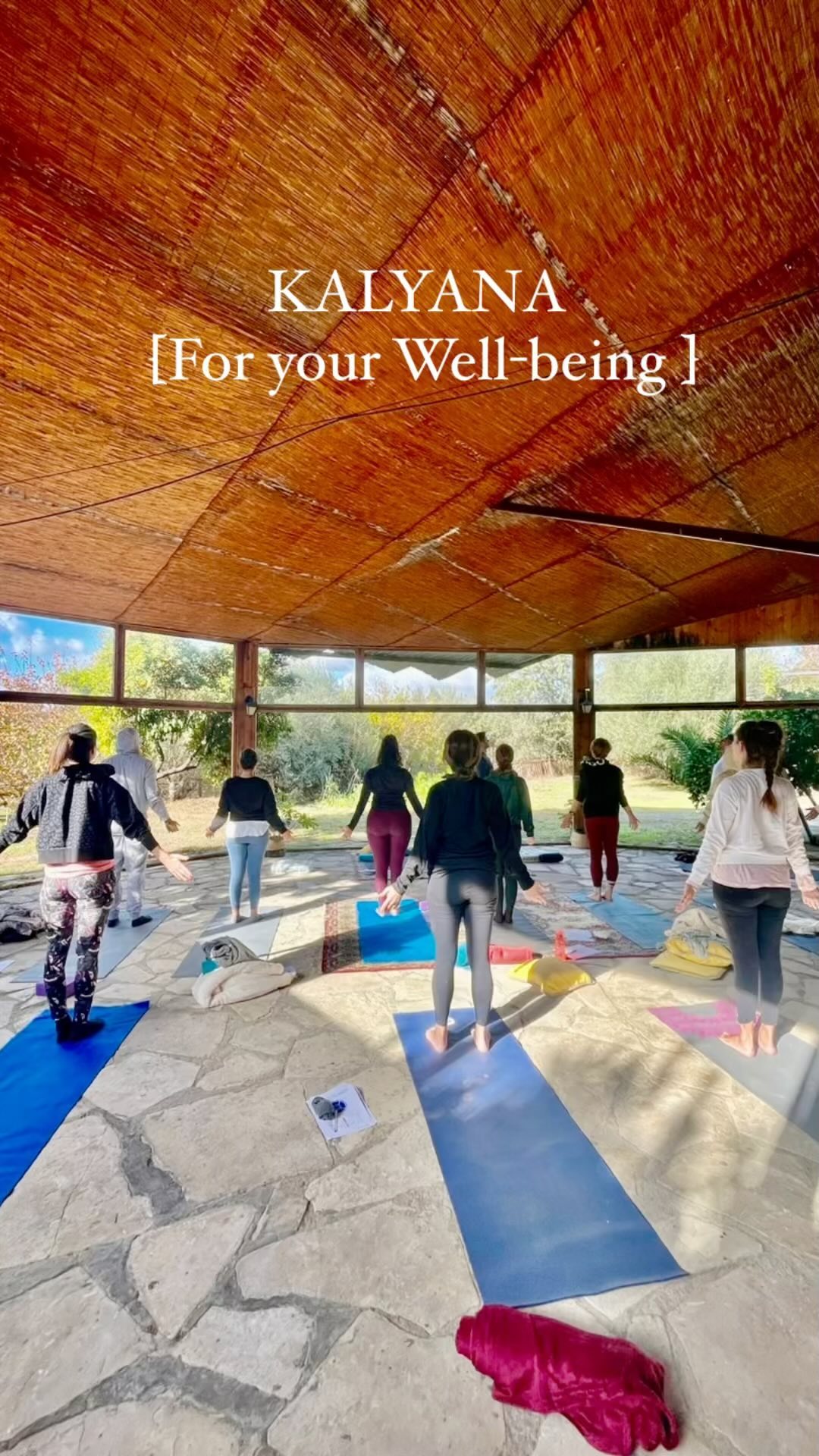 2023 has been a good year for me and I am thankful to all of you! Each time I step into the shala, I know I am in the right place and I feel it is home. I know I was designed to give to this world a bit more light, individual support and by bringing people together through transformative experiences. This year brought countless yoga classes, four yoga retreats and one international, personal coaching sessions, corporate events, trips abroad, collaboration with other yoga teachers and musicians, professional yoga photoshoots, customer yoga programs for beginners and couples and I’m also specially grateful that my own growth has inspired others to pursue the path of teacher training. Yoga is truly for all!
Kalyana will keep evolving. Stay tuned and I will see you very soon.
Michael.
Special thanks to:
@mynameis_lika @natasa_iacovides @elia.petrou @ch.e_yoga @tohani_coliving @yogaathome.cy @photography.by.annetta @yogadive.abhaya @paradisodieros_ @hush.hush.cy @theagorahotel @amarahotelcy @casalepanayiotis