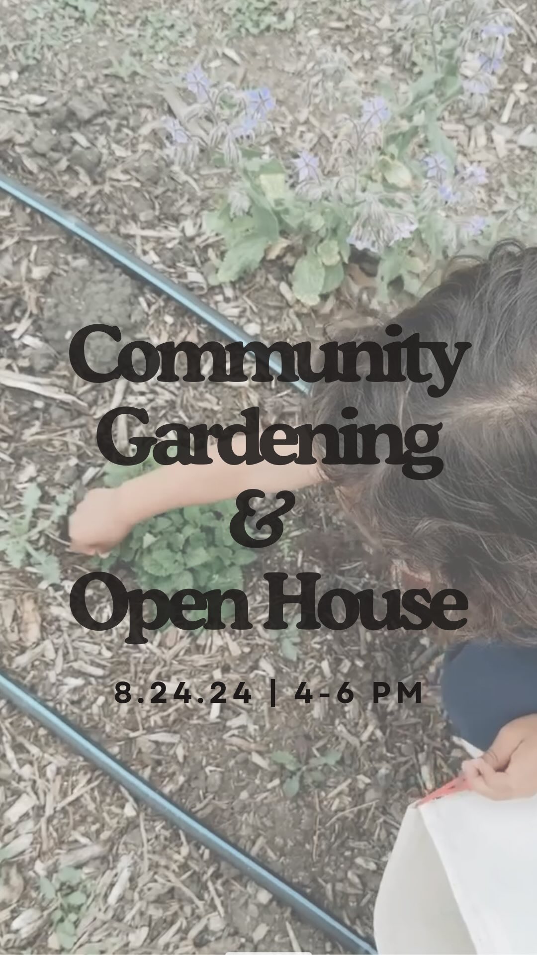 Our school space is almost ready, and we can’t wait to welcome you all! 🎉
Join us to discover our unique program, explore our brand-new space, and help us kick off our community garden! 🌱
Here’s what you can look forward to:
- 🍋 Kid’s Lemonade Stand with a fun twist
- 🕵️ Classroom Tours with a Scavenger Hunt
- 🧩 Interactive Learning Stations
- 🍎 Meet the Teachers
- 🥕 Healthy Snack Bar & 🍷 Adult Beverages
- 📸 Photobooth Fun
- 🌿 Community Garden Kickoff—come help us plant the first seeds!
When: Saturday August 24, 2024 4pm-6pm
Where: 3028 Cañon St. San Diego CA 92106
Who: Bring the whole family!
Please RSVP to info@wildpeakscollective.org
We can’t wait to meet you!
#WildPeaksCollective #CommunityGarden #OpenHouse #PlantingSeeds #Montessori #SpanishImmersion #FamilyFun #EducationForAll