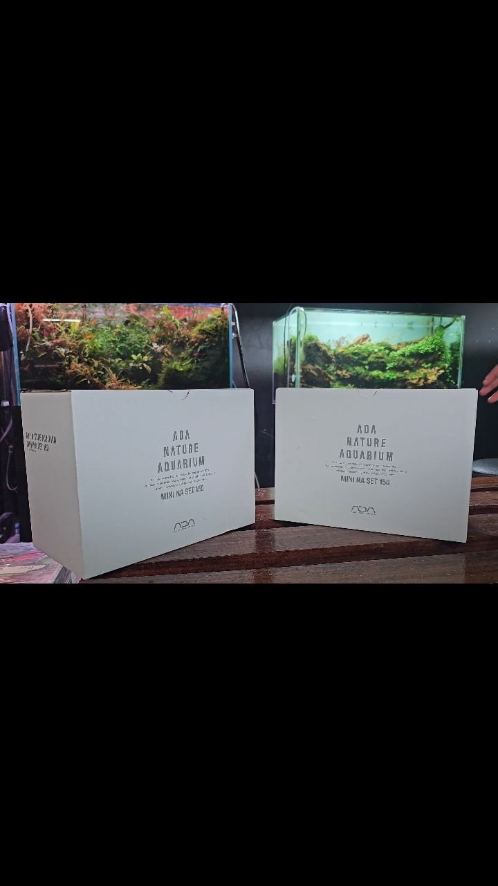 My second Unboxing Vídeo 😜
ADA Mini NA Set 150
This is a stunning little thing. The Quality ADA it's unmatchable. I hope the client will be Happy.
#ada
#mininaset150
#hightec
#small
#co2injection
#plantedtank
#aquariums
#aquascapingworld
#aquascapers
#aquascaping