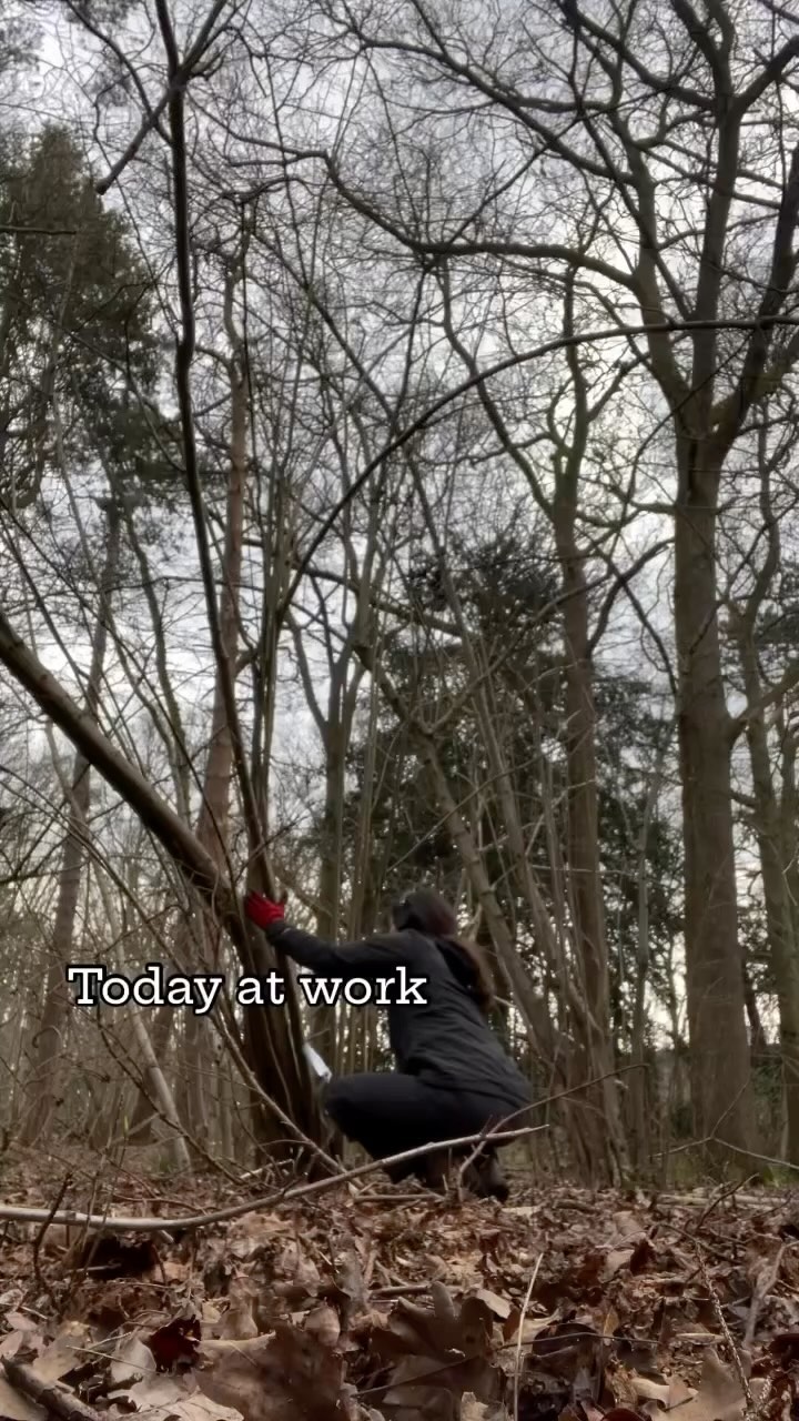 There is nothing better then a day in the woods 🌳
.
.
.
.
.
.
.
#gardening #outdoorwork #woodland #bushcraft #greenwoodwork #conservation #greenjobs #practical #gardenersoflondon #londongardner