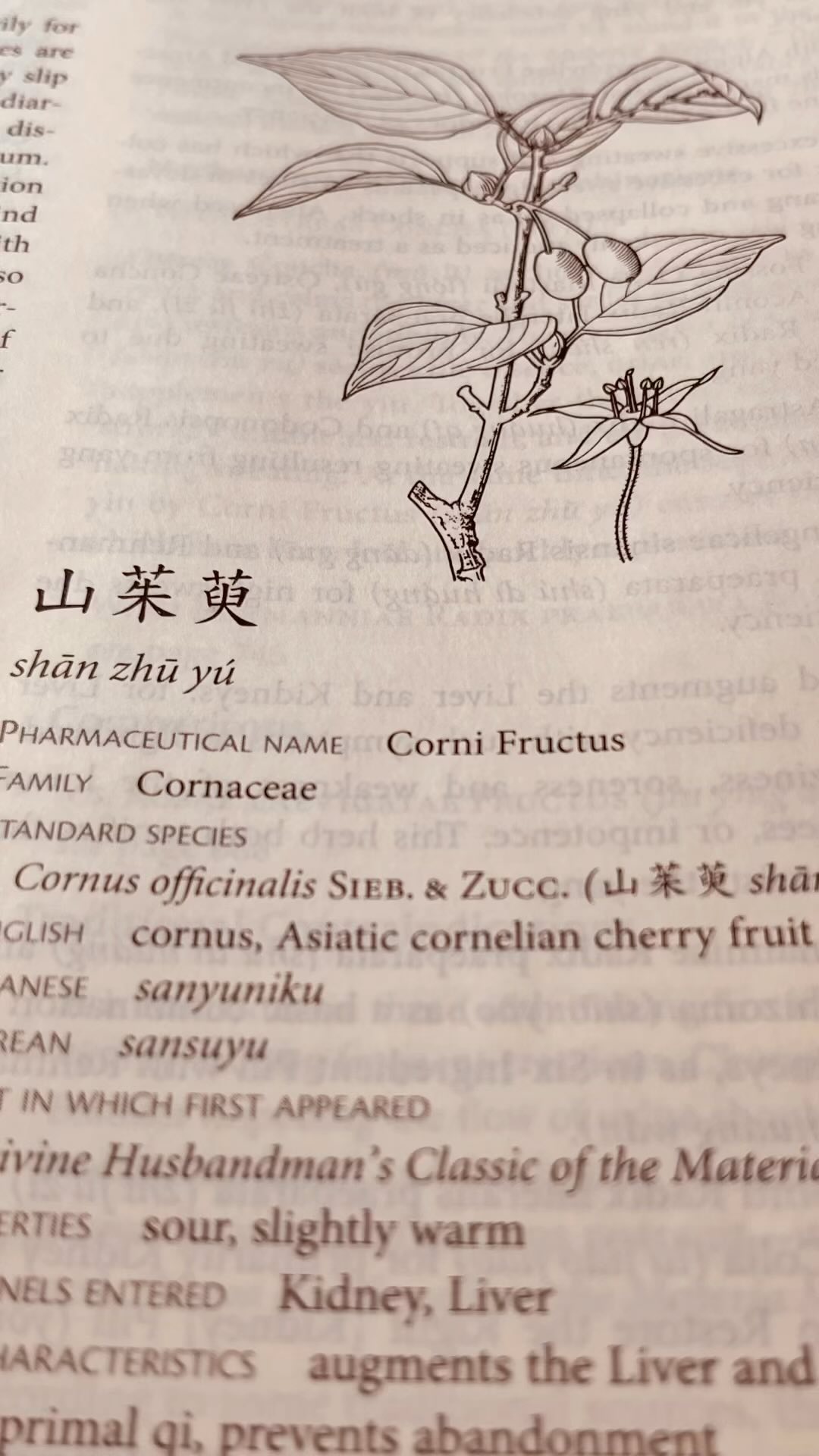 Initial herbal preparations for #gongjindan #공진단