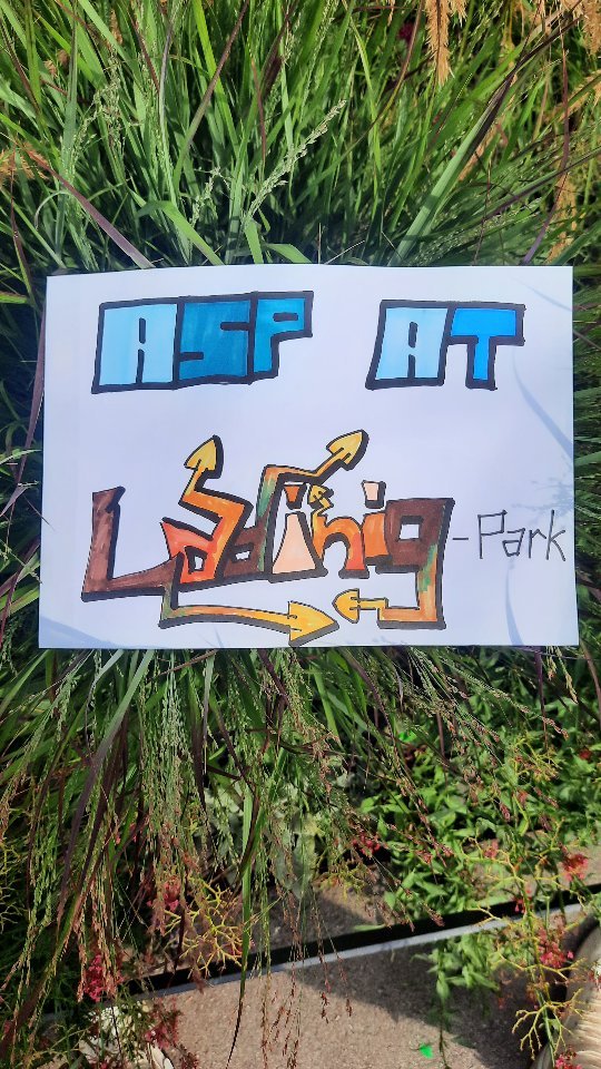 Das ASP-Team ist immer am Mittwoch ab 15:30 im Ladinigpark!
#parkbetreuung #aktivspielplatz #rennbahnweg #wien #InstitutFürErlebnispädagogik