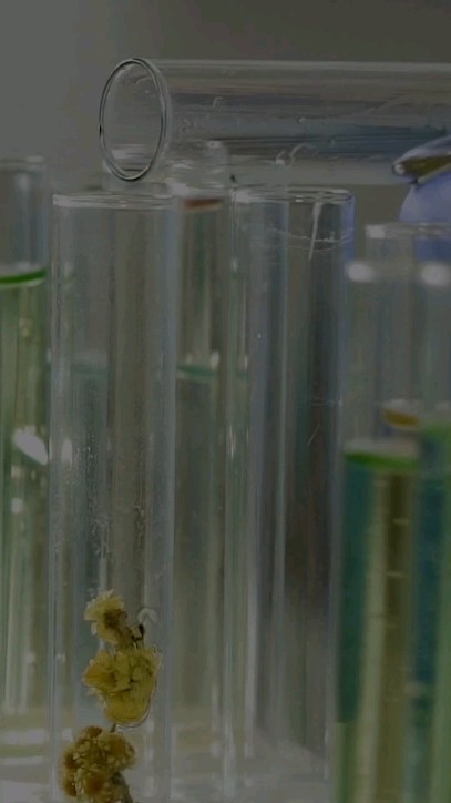 🌱Nesta data especial, onde comemoramos o centenário do Prof. Matos, apresentamos os tipos de Farmácias Vivas criadas por ele no Ceará.
Que lindo trabalho! Gratidão Prof. Matos!🌱💚🌱