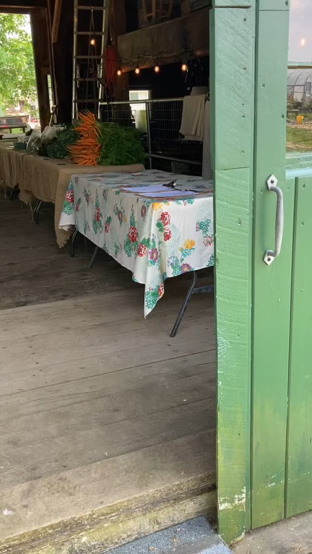 Second week of CSA pickup! It is blasting hot out there, cool your body down with some veggies!
#nhagriculture #localisbest #organicveggies