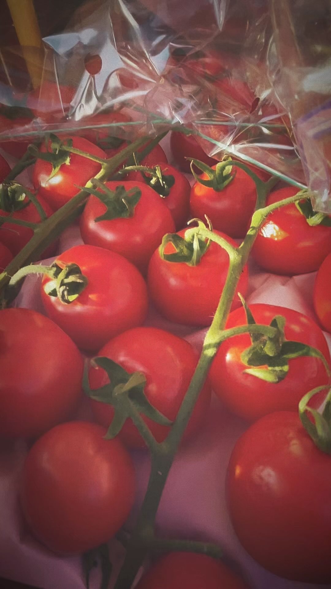 #delivery #fresh #food #foryou #everyday #morning #beautifuldestinations #lünersee @luenersee @alpenverein_montafon #alpenvereinshütte @alpenverein_vorarlberg