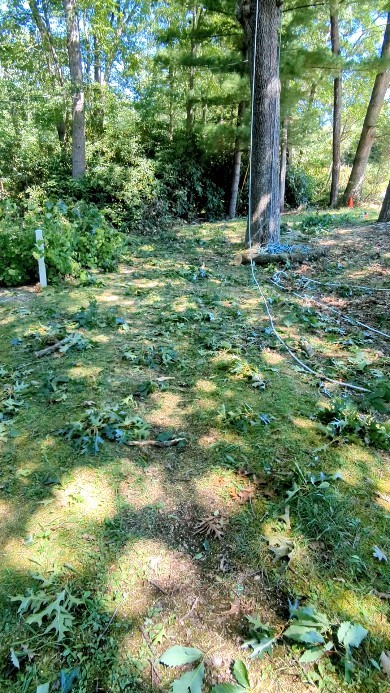 Work #treeremoval #treeservice #treepruning #arboristsofinstagram #arborist