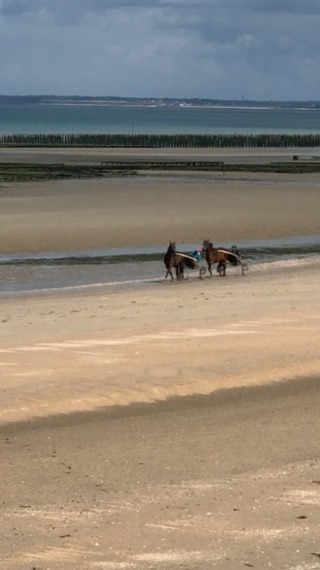 Venez découvrir les belles plages du cotentin, nous avons encore des disponibilités pour le mois d’avril. N’hésitez pas à nous contacter