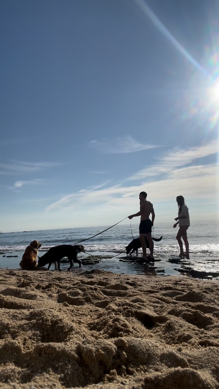 Esta mañana hemos trabajado en la playa con Kuma y Diva, dos golden retrievers que necesitan ganar confianza con el agua. Contamos con la ayuda de Sultán y Kiara, que son expertos en disfrutar del mar y sirven como ejemplo para que Kuma y Diva aprendan a acercarse a las olas sin miedo. 🌊🐾
Los entrenamientos en espacios abiertos y llenos de estímulos son clave para fortalecer el vínculo con nuestros perros y lograr que se sientan seguros y enfocados en el entorno. Además, la imitación es una herramienta valiosa: ver a otros perros disfrutar y explorar les aporta la seguridad que necesitan para desbloquear algunos miedos.
~
#goldenretriever #educacioncanina #beauceron #adiestradorcanino #dutchshepherd #etologiacanina