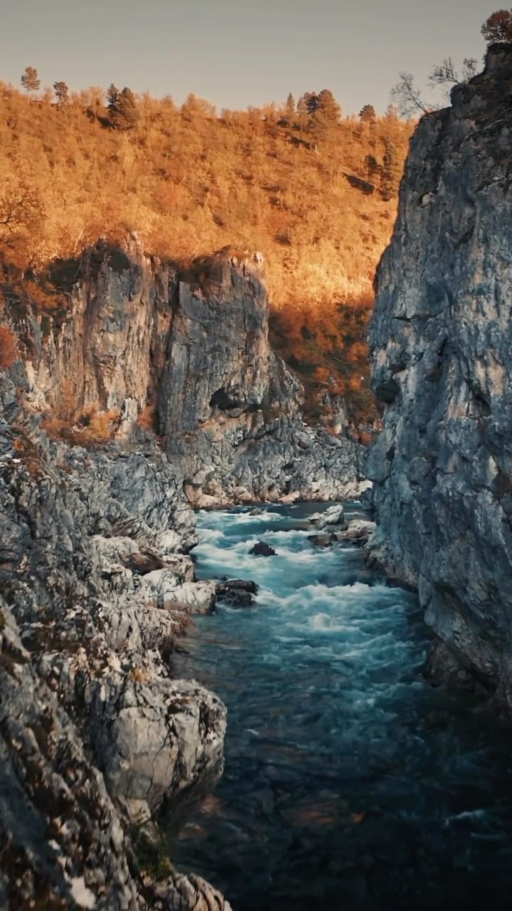 E se a gente abraçasse o “des”? Desfazer, desconstruir, desaprender... e se libertar da obrigação de ser sempre certo? Afinal, só erra quem faz, e só se faz errando, não é mesmo?
#reflexão #desconstrução #vidareal