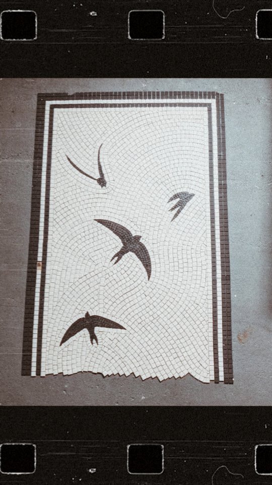 Would you like a besloke entrance hall that reflects you and your own unique style?
Email us info@themosaicstudio.com to start your design journey ✨
#designjourney #britishbirds #swifts #swiftbird #ornithology #britishbirdlovers #uniqueinteriors #bespokeflooring #bespokedesign #luxuryinteriors #highendhomes #classicaldesign #classydesign #highendinteriors #luxurydesigner #bringingideastolife #essexdesign #londondesigners #bespokearchitecture #architecturaldetails