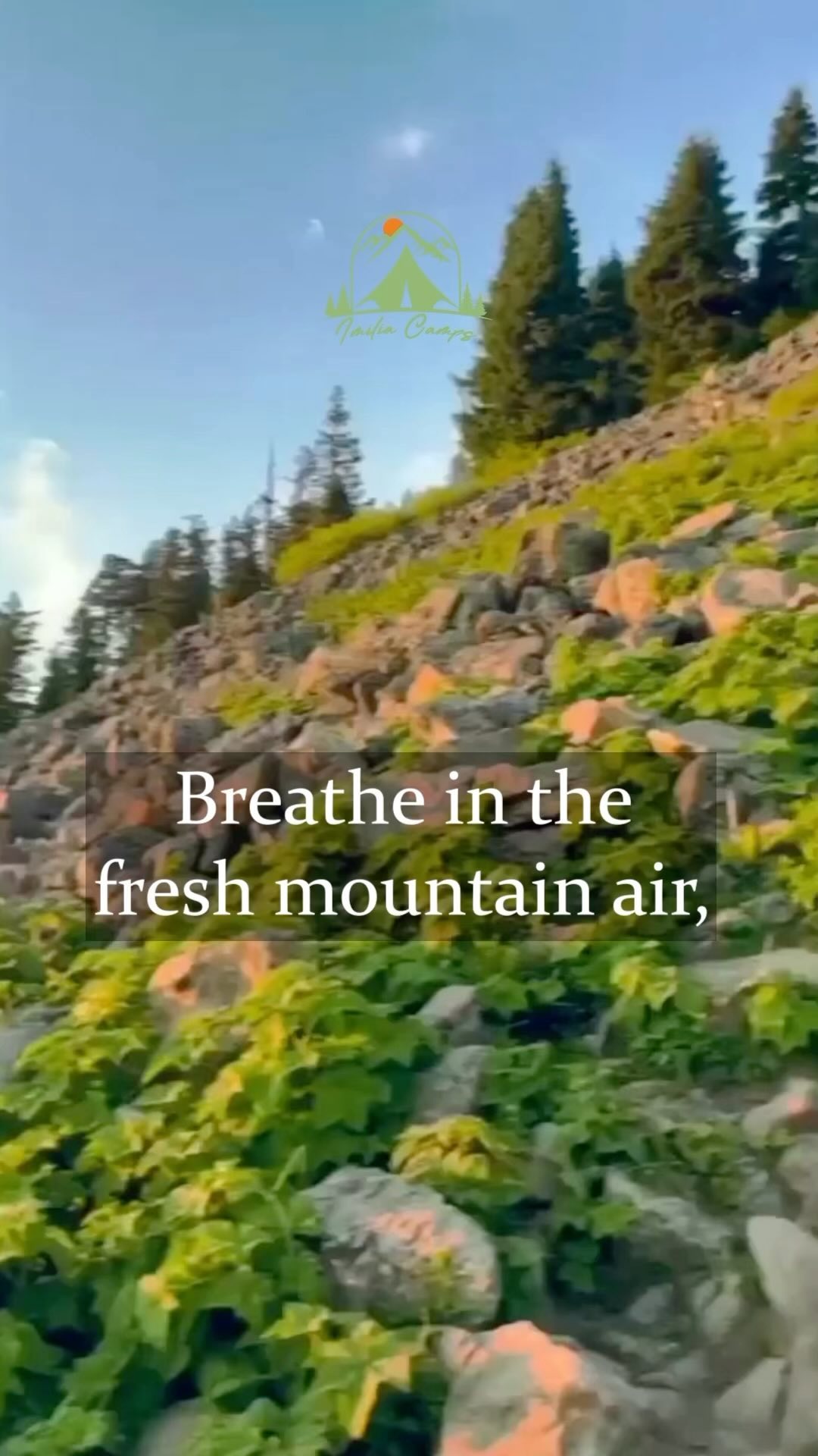 Experience Pure Bliss at Imilia Camps in BIR, where the Fresh Mountain Air and Tranquility Await. 🏕️ 🌲
.
.
.
.
.
.
#imiliacamps #camp #mountains #hills #bir #birbilling #birmountains #adventure #freshair #fresh #aura #environment #jungle #adventures #fade #himachal #reelsinstagram #reelsvideo #reelsinsta #reelslovers #reelsexplore #explore #exploremore