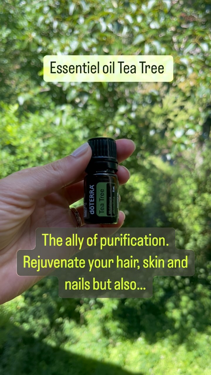 I have been tuning in to the essential oils lately to embody the plant medicine and its messages and create vibrational paintings in coherence with their vibrations. Stay tuned to see the painting from the spirit of Tea tree. Also how to use this beautiful essential oil : you can simply inspire the bottle, or friction a couple of drops in your hands and inspire this beautiful green scent. You can also put it in your moisturizer or spray your home with it to clear the energy of your space.
