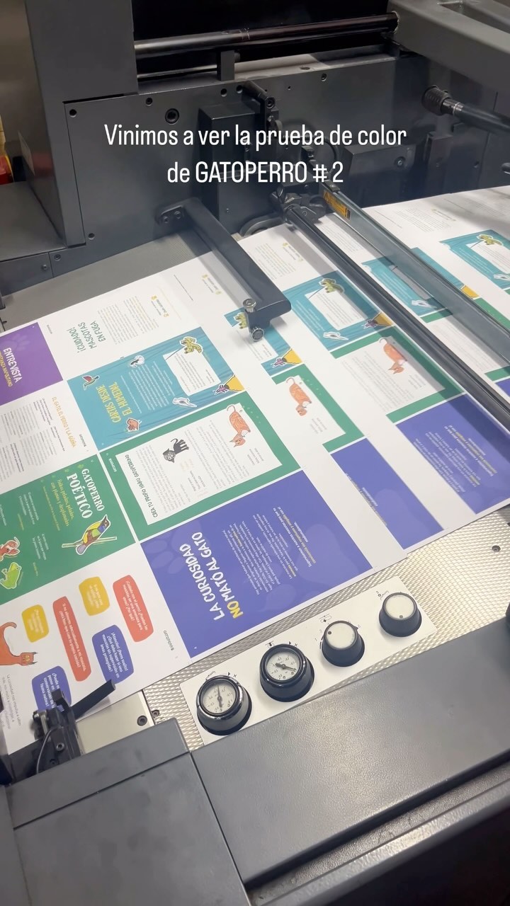 ¡Falta poquito para que GATOPERRO # 2 salga a recorrer el mundo 😸🐶!