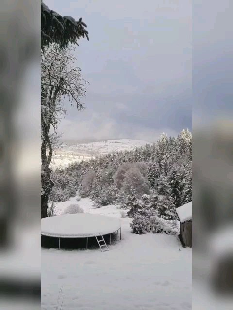 Doucement, doucement va le temps. A peine perceptible au delà des routines, il nous enveloppe de poudre. Dans le brouillard se dessine la neige.
#cosywinter #permaculture #livingthemoment #simplelife #farmlife #Lanarce #montagneardechoise #auclairdelasource