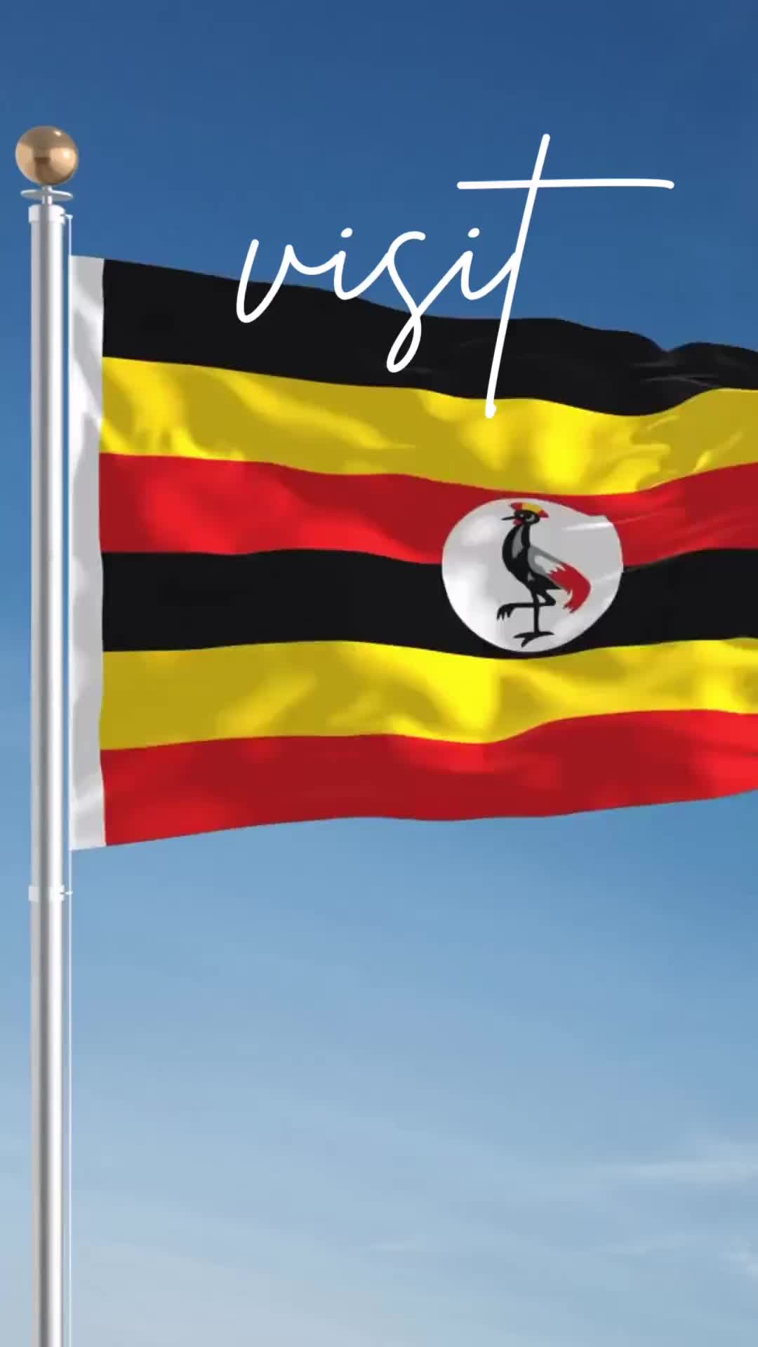 👑 #UGANDA is a place where Ancient Kingdoms Meet Modern Magic 🇺🇬
Imagine walking the same paths as thousand-year-old dynasties in the heart of East Africa. Here in Uganda's Buganda Kingdom, history isn't confined to museums – it's alive in every heartbeat of Kampala's bustling streets.
The current King of Buganda is Muwenda Mutebi II. I stood in awe as I met Her Royal Highness Nnabagereka Sylvia Nagginda, Queen of the Buganda Kingdom. Her royal title wasn't the only thing that left me speechless – it was her sharing of the meaning of "Ubuntu Principle, -- this beautiful belief that "I am because you are." Taking care of each other, being humble, generous, and respectful.
In a world of selfies and social media, this ancient wisdom of interconnectedness stopped me in my tracks. This is Uganda – where kings still reign, where wisdom flows as freely as the Nile, and where "For God and My Country" isn't just a motto – it's a way of life that welcomes you home, even if you've never been here before.
✨ Ready to experience Uganda's magic yourself? Visit my website and get my free resource guide that brings you insider guides, hidden gems, and the stories that make Uganda the Pearl of Africa. 📧 #LinkinBio
#VisitUganda #PearlOfAfrica #Buganda #UgandaTourism #TravelAfrica #ExploreUganda #AfricanRoyalty #CulturalHeritage #WanderlustAfrica #AfricanKingdoms #TravelInspiration #UgandaUnforgettable #TravelDiary #Vee4EverYoung #V4EverYoung #SoloTraveler #SoloTravel #WomensEmpowerment