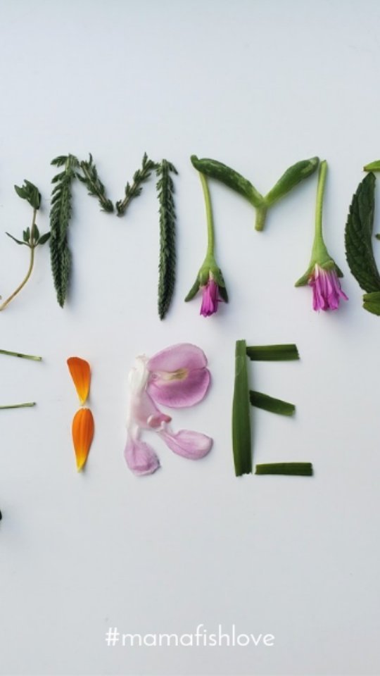 Our beloved Mama Gaia and the Elements are such a powerful teachers who hold so much wisdom! Just as they moves through her cycles and seasons, we do the same in our own lives.
When we live in alignment with the natural rhythms, just as the plant, animal and fungi kingdom live as our Ancestors lived it can support us in powerful ways, allowing us to move through the ebb and flow life with a sense of ease, ultimately bringing more balance & harmony into our lives.
We are on the precipice of the official seasonal shift into Summer on the 20th so we have an opportunity to prepare for this shift to supportour wholeness. As we step into this potent Season we are offered an invitation to harness the powerful energy the season holds to consider where we are outsourcing our power so we can blossom.
If you'd like to gather in community to harness this energy and receive support to take with you through the Summer, I invite you to join me tomorrow. There is space for you at the Summer Solstice Ceremony at Sol Health Yoga.