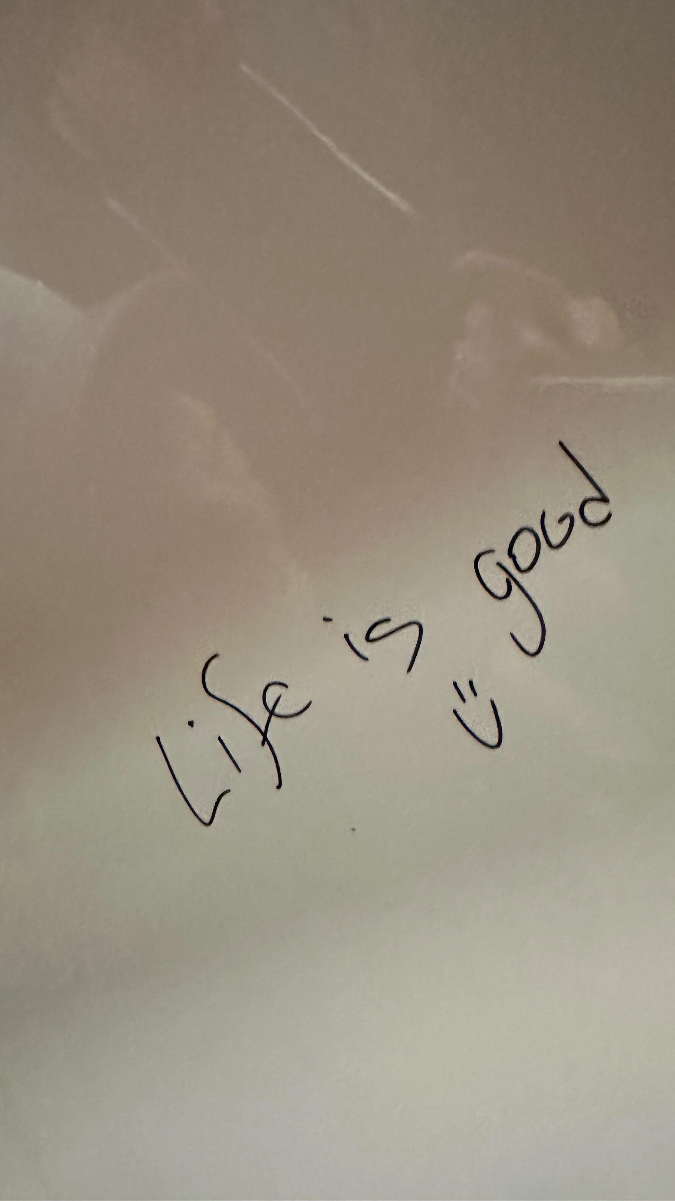 2023 dump - thanks for joining 🌞🍾 #bye2023 #favorites #byebye