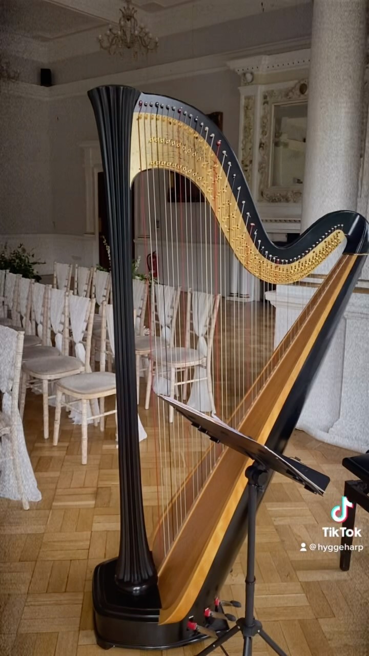 Episode 9: A Wedding and a Quiet Weekend
#slowliving #hygge #hyggeharp #cozy #durham #countrylife #englishgarden #britishcountryside #harpist #lifewithdogs #wellbeing #calm #slowdown #calmvideos #aesthetic #edwardianhouse #cottagecore #minivlog