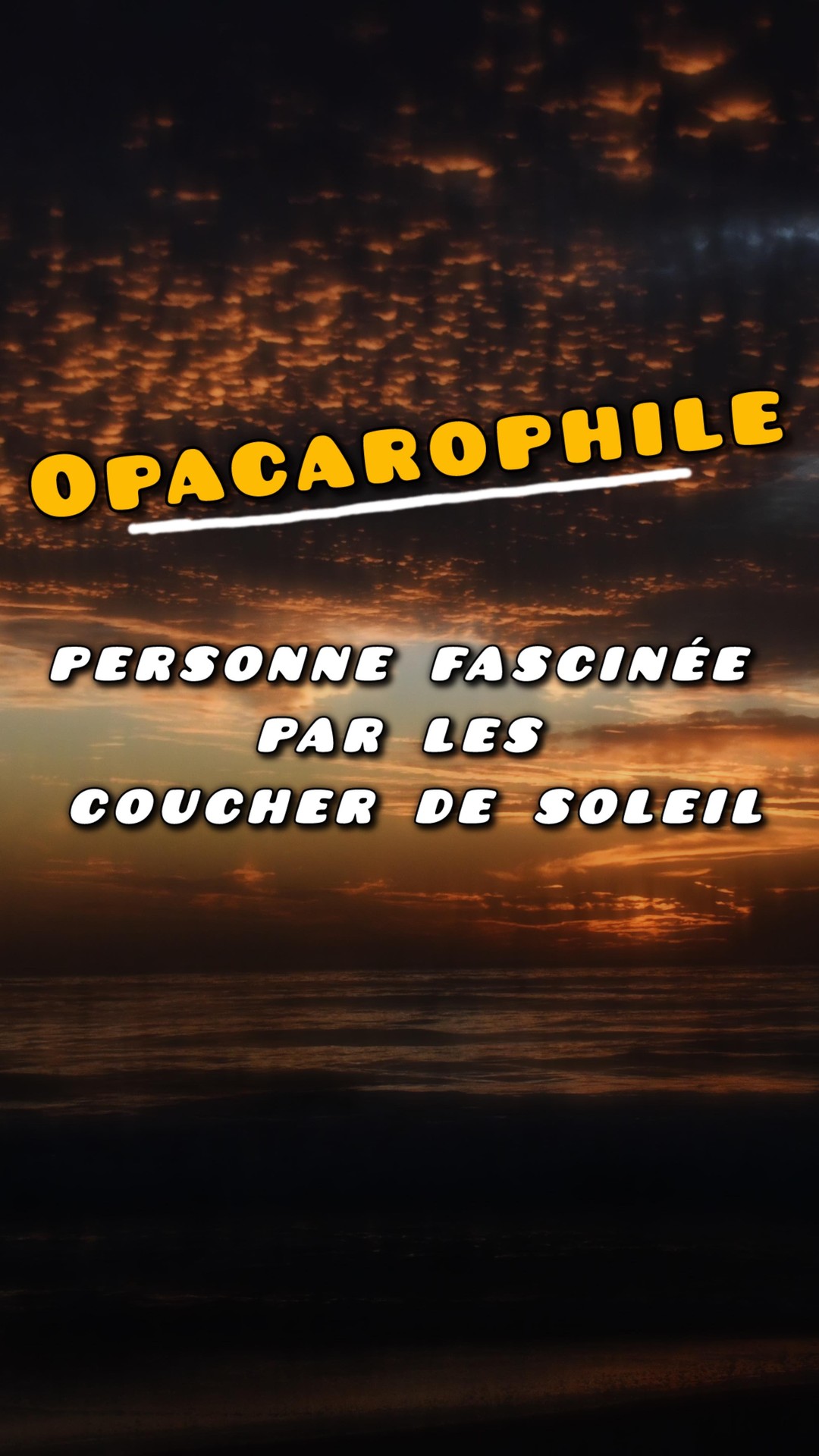 Opacarophile 😅 se dit d’une personne fascinée par les coucher de soleil 🌅
Alors c’est clairement mon cas 😅 et toi?