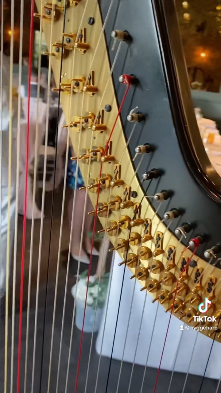 Episode 6: Farmhouses, Receptions, and Lewis Carroll
#lewiscarroll #beamish #beamishmuseum #harpist #harp #harpmusic #softliving #farmhouse #hygge #aesthetic #fallvibes #art #music #minivlog #relaxing #cozy #softmusic #croftontees #durham #england #weddingharpist #soothing #relaxingvideos #hyggeharp