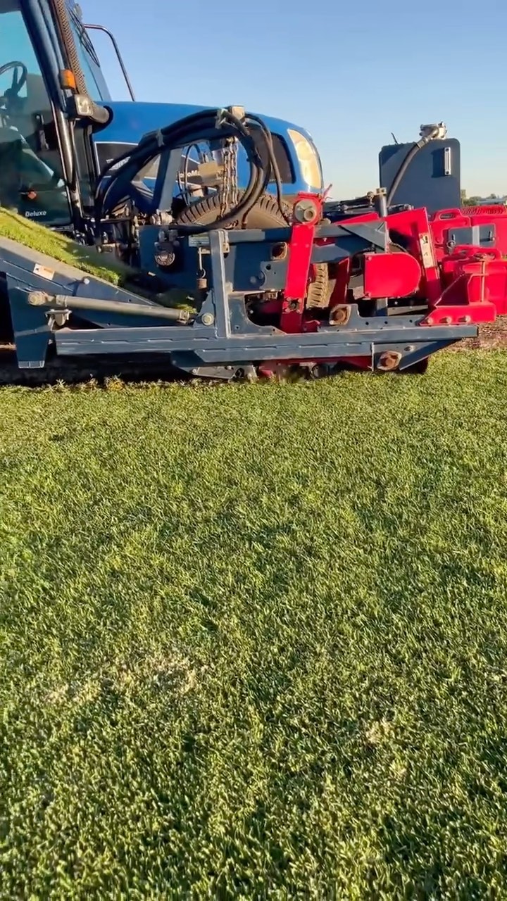 Finally some good weather for cutting our kikuyu turf!! #turf #turfgrass #turffarm #awesometurf #sydneyturf #turfsydney #turflife #familyownedandoperated #supportlocal #smallbusiness #kikuyuturf #turfkikuyu