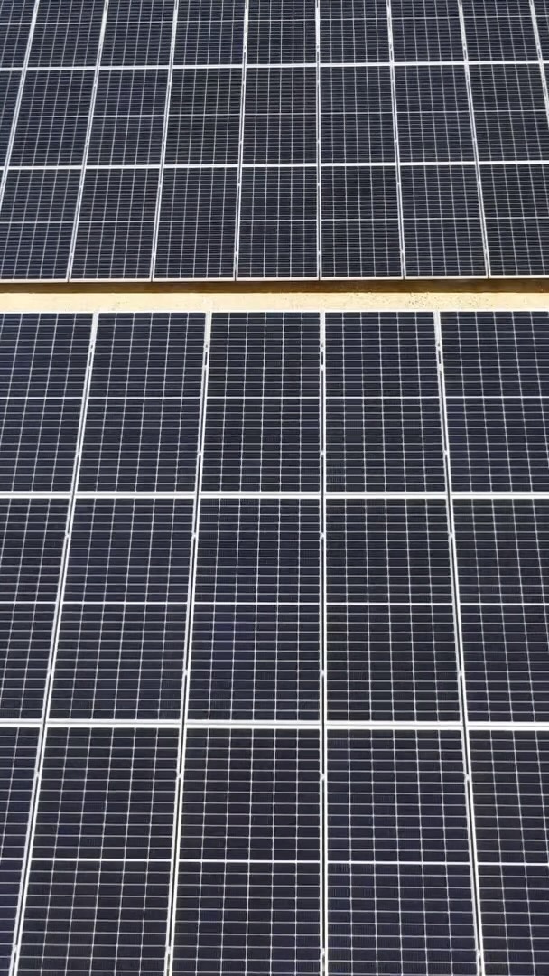 Turning sunshine into savings ☀️💡Did you know by switching to solar you can significantly reduce your electricity bills, contribute to a cleaner environment and increase your property’s value?
To find out more or receive a specialised solar quote call our friendly team on 📞02 6680 4173
.
.
.
#solar #solarpower #solarsolutions #ecofriendlyhomes #coughranelectrical