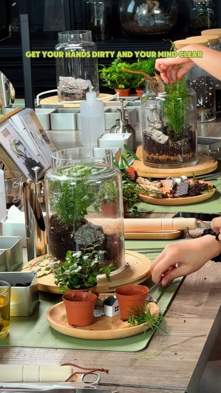 Bringing a little green to the heart of Vancouver! 🌿✨
#vancouver #diyterrarium #terrariumworkshop #plantlovers #planttherapy #terrariumclass