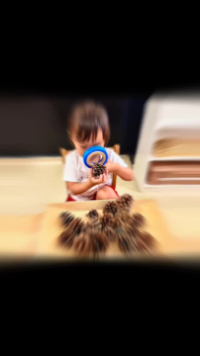 Imagine being little, and your day begins with freedom not flashcards.
You choose whether to dig in the sand, paint with your fingers, or plant in our garden.
There’s no rush. No wrong answers. Just joy, curiosity, and connection.
🎨 Imagine being seen as capable even in your messiness.
Allowed to be loud, quiet, shy, or silly. Always welcome, just as you are.
📍 Visit us at Villa 11, Al Dassi St., Umm Suqeim 2
📩 info@littlelandnursery.com
📞 +971 50 689 4471 | +971 (0)4 439 4471
💬 DM us or comment “VISIT” to book a visit — we’d love to welcome your little one into our Little Land family.
#LittleLandNursery
#MontessoriDubai
#LearningThroughPlay
#UmmSuqeimNursery
#DubaiMums
#ChildhoodUnplugged
#PlayIsLearning
#NaturePlayDubai