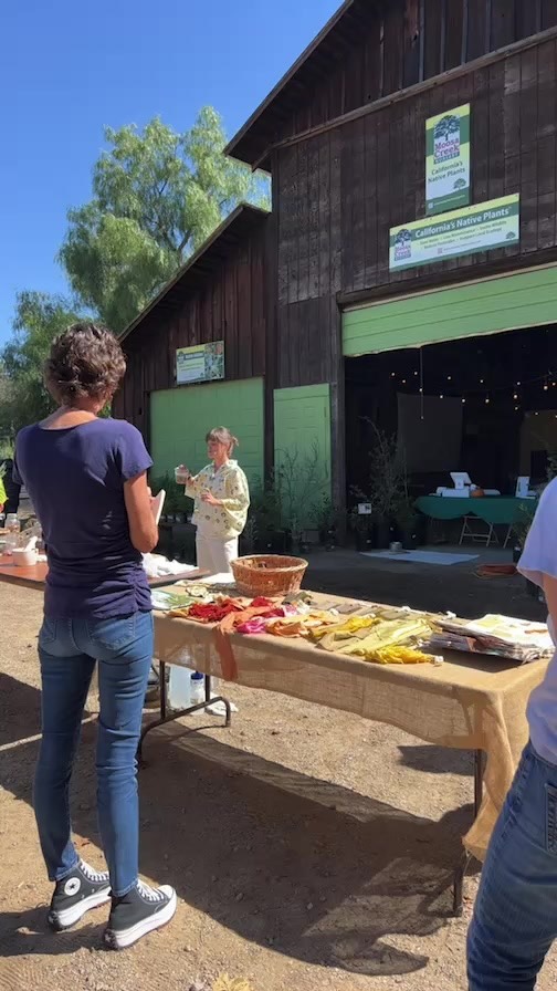 @thedogwooddyer natural dye shop here at Moosa Creek!