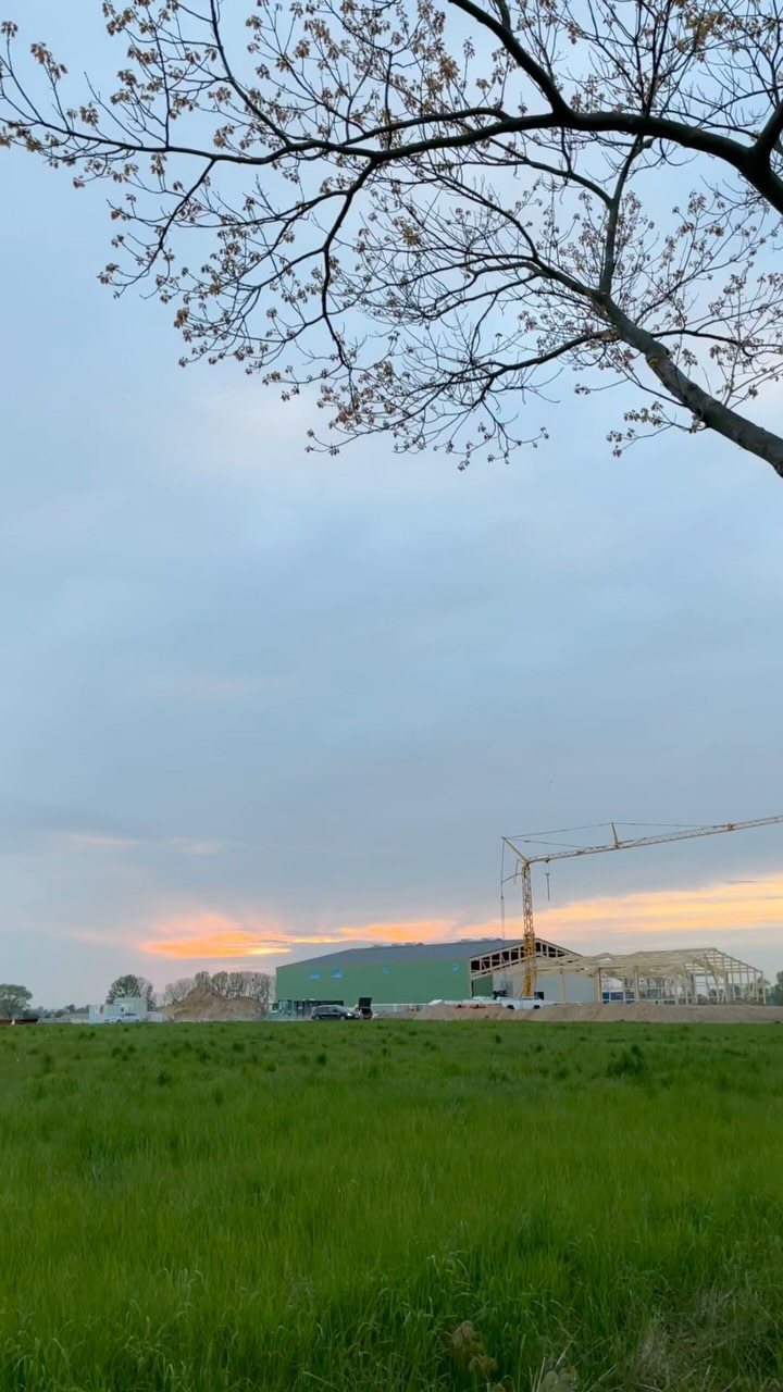 Kartoffelhalle loading… was für eine verrückte Woche: wir haben das Richtfest unserer Kartoffelhalle gefeiert, dort wurde anschließend der Beton gegossen und nun sind wir dabei die ersten Kartoffeln zu pflanzen, die im Herbst in die neue Kühlhalle eingelagert werden sollen. Danke an alle Beteiligten für die tolle Arbeit und das schöne Fest!