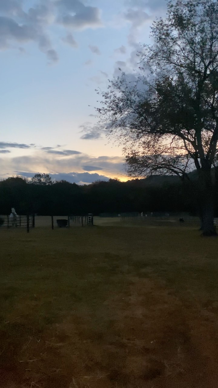 Early mornings feed my soul. Always beautiful at Blazer Farm. 💛 #thankful