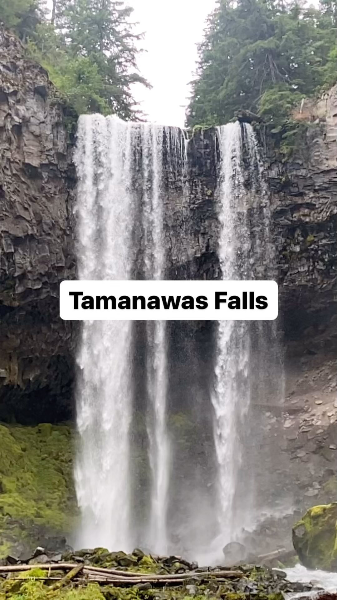 📍 Tamanawas Falls
Learning Topics: Waterfalls, Trees, Rivers, Edible Plants (thimble berries, huckleberries, wild blackberries)
We have done this hike in all seasons! It is a beautiful fall hike when the leaves start changing colors.
This is Hike #38 in @littlefeethiking Mount Hood !
#wildandbarefootadventures #hikingwithkids #fallcolors #autumnleaves #exploreoregon #tamanawasfalls #chasingwaterfalls #placebasedlearning #homeschool #adventuretime #wildkids #capablekids #hikingwihkids #oregonexplored #mounthood #traveloregon #familyfriendlyadventures #optoutside #intotheforest