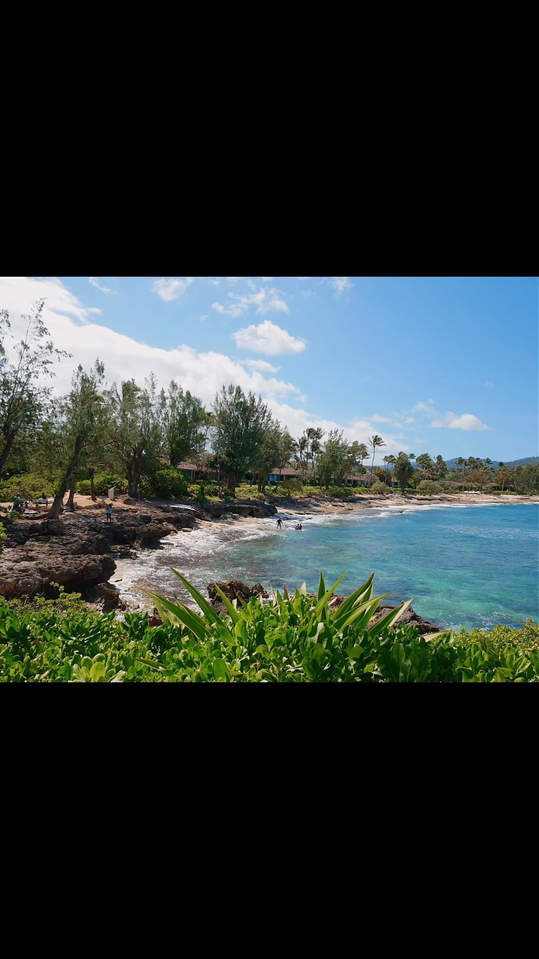 Beauty, nature, and sustainability are amongst the many reasons to stay at this Oahu North Shore resort. Turtle Bay is the perfect getaway for couples and families who want to douse themselves in the comforts of nature, play golf, eat delicious food (I mean really, that mahi-mahi and that damn coconut cake were the best I’ve ever had), ride a horse, or simply relax with a hot stone massage. Take me back…🐢🌺✈️. #hawaii #visithawaii #sustainabletravel #travelgram #travelagent