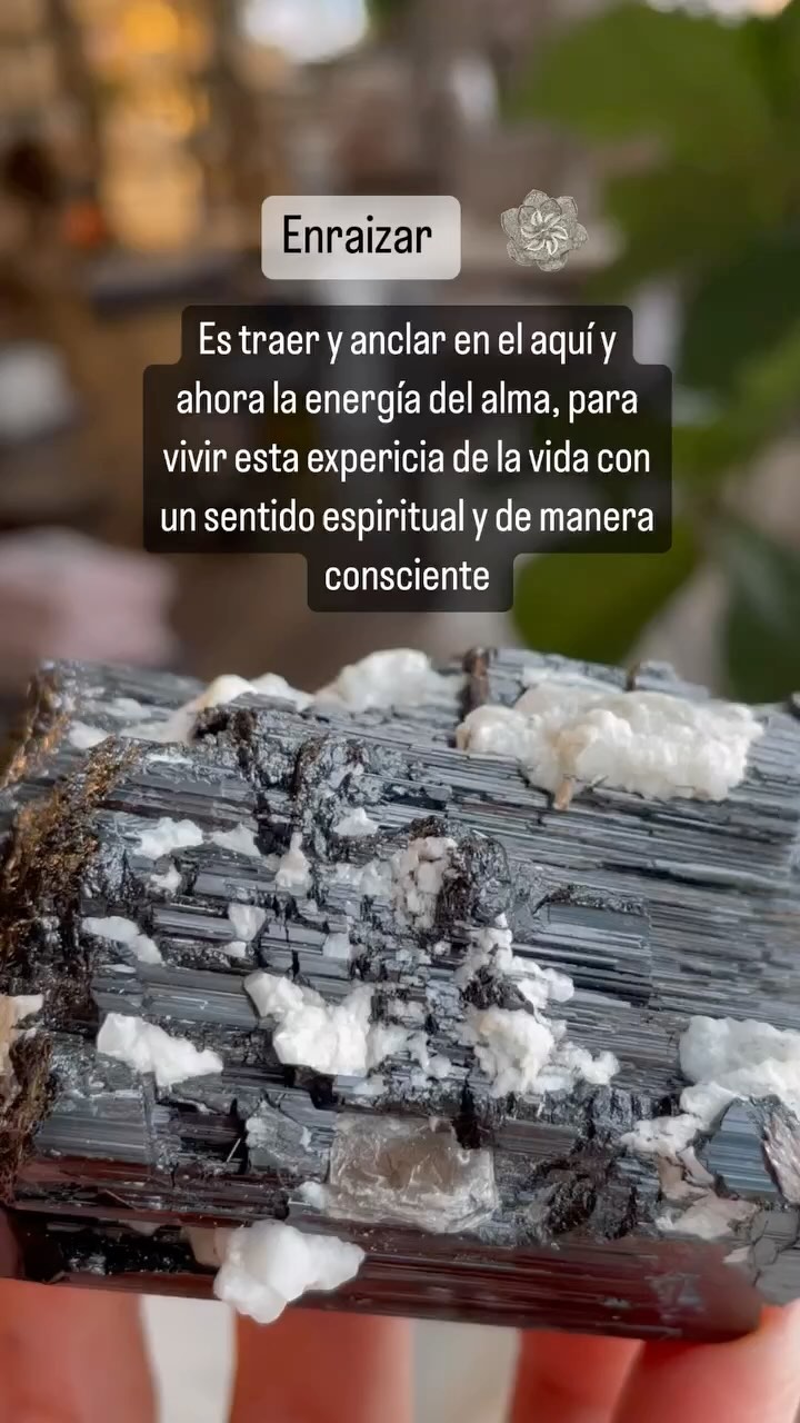 La Turmalina es un cristal poderoso y muy apropiado para mantenernos enraizados. Además es una gran guardiana de la energía vital, por eso se dice que “protege de la negatividad”.
También podemos hacer agüita estructurada usando turmalinas ❣️