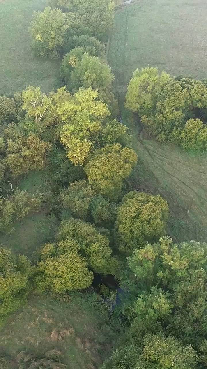Flying through the greenery following the River Nadder.
.
.
.
.
.
#Djiphantom4pro #Drone #Surveylife #Surveying #salisbury #wiltshire #nature #dronevideo