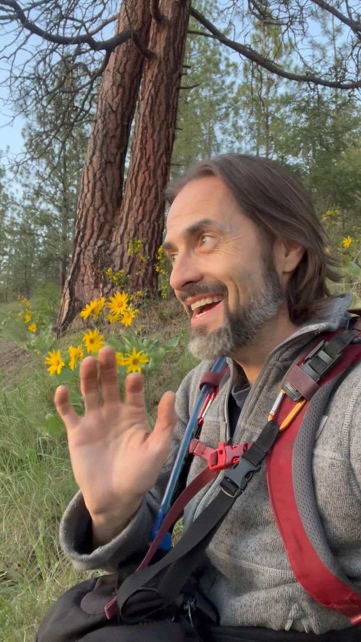 Two minutes was all it took. #wildflowerphotography #shortsunset #twominutes #naturephotographysuccess