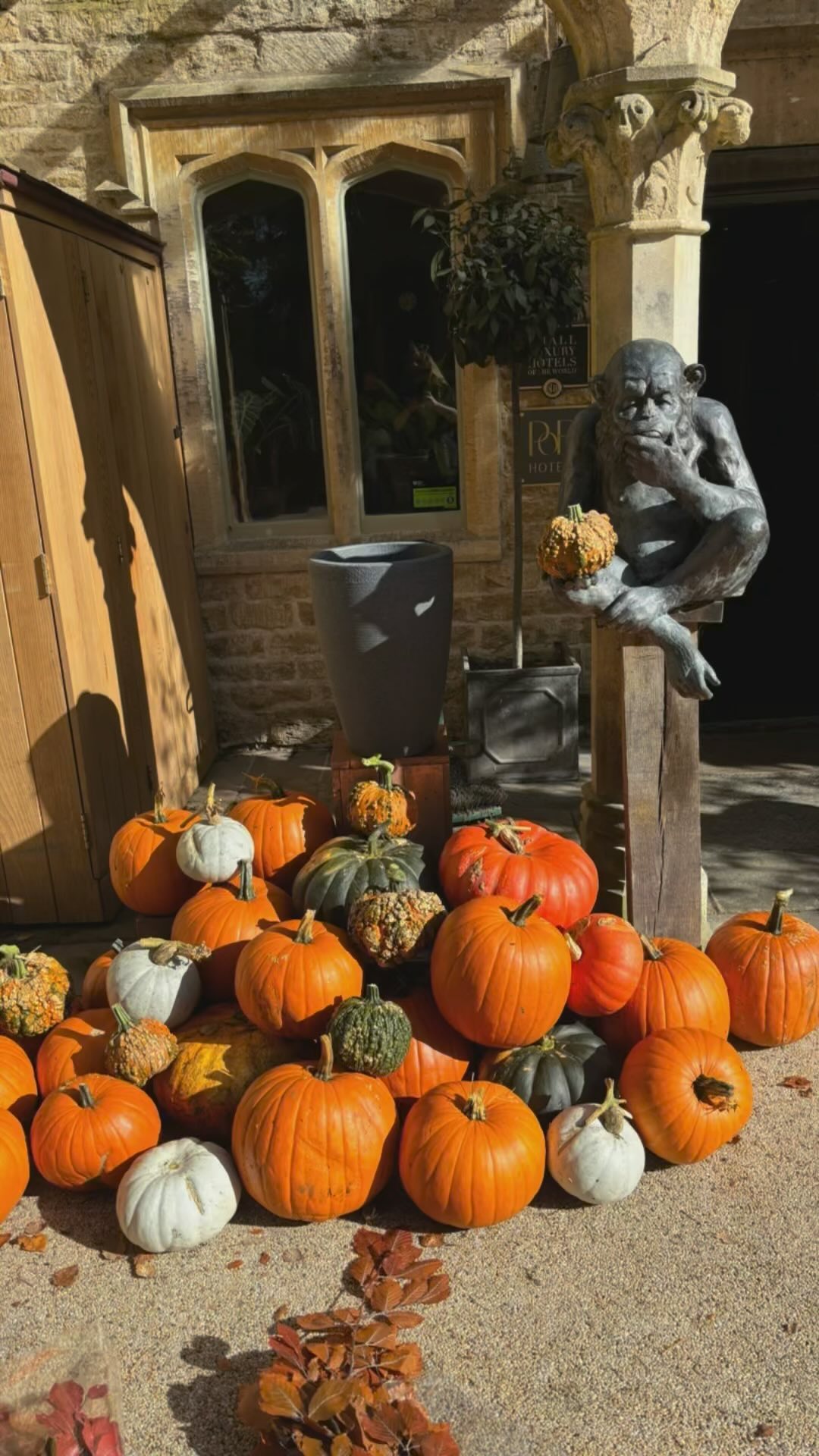 Let’s just hold back on everything Christmas 🎄 for a moment! And enjoy the beauty that is autumn 🍂 fully enjoyed creating this autumn 🍂 installation @homewoodbath today, especially as the sun was shining 🎃
#autumnvibes🍁 #pumkins #halloween #hotelinstallation #flowersnug #twigs #goldenleaves #studioflorist #homewoodbath