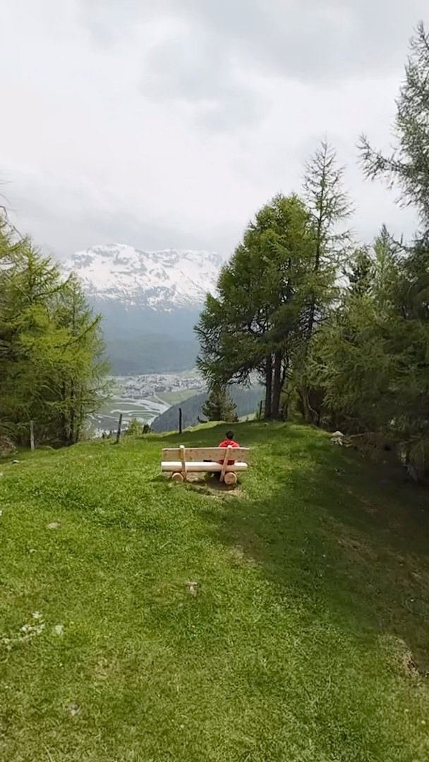Through the Swiss trees 🇨🇭