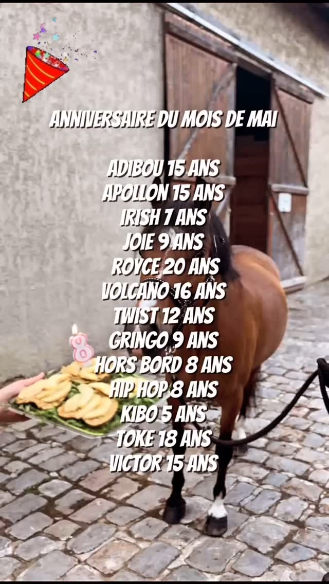 🎂Joyeux anniversaire à tous nos poneys et chevaux nés au mois de mai 🥕🍎🍐
Nos poneys/chevaux ont été gâté par leurs cavaliers qui leur ont préparé de délicieux gâteaux 😋 le jour de leur anniversaire!
Voici une idée de recette de gâteau spécial cheval :
500 g de flocon d’avoine, 500 ml d’eau tiède, 3 pommes, 3 carottes, du miel.
N’hésitez pas à mettre en commentaire votre recette 🍰🌾
