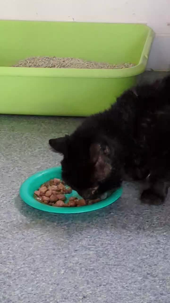 Update on Patrick who as you can see is settling in nicely.