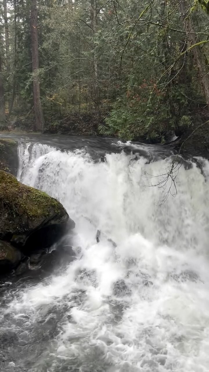 A reminder that no matter what happens today, when you wake up tomorrow, art will still matter, community will still matter, and creating and practicing joy is essential. No President is for us, they exist to uphold a broken system that does not nourish or care for us properly. True change begins in our homes, in our towns. It comes from a place of love, not hate. Take care of yourself, keep your loved ones close.❤️