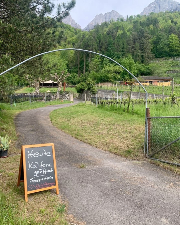 Heute Kaliforni geöffnet von 11h -19h
Feine Tapas und beste Bioweine erwarten euch in einer einmaligen Location direkt am See!
Seid herzlich willkommen!
Marco Casanova
#grotto#kaliforni#finewine#bio#tapas#winelovers#casanova#weinpur#see#walensee#walenstadt#winzer#weingut#wellcome